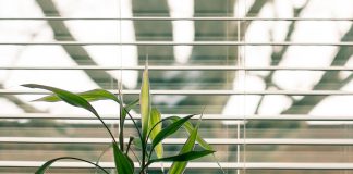 Energy saving roller blinds