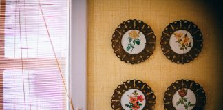 Spotlight roller blinds