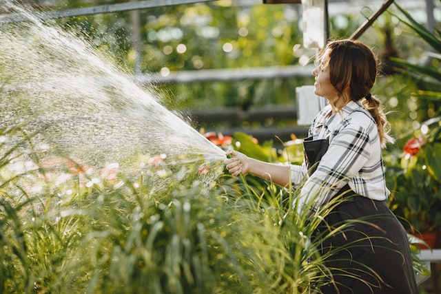 a-woman-watering-the-plants