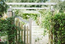 beige wooden fence covered with green vine plants