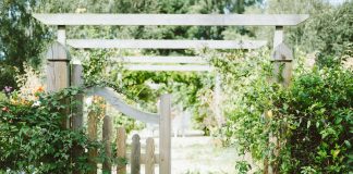 beige wooden fence covered with green vine plants