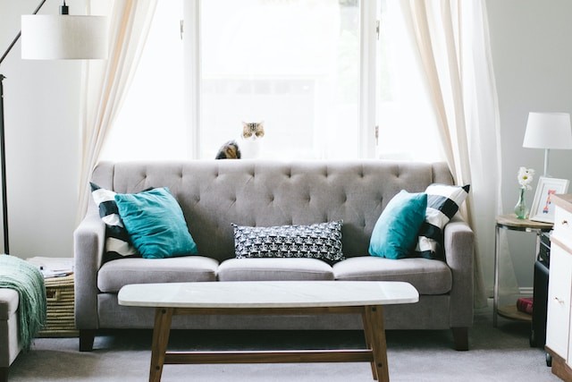 gray sofa near the window with blue pillows