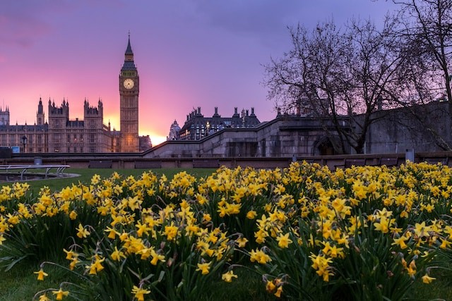 flowers in london