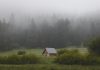 forest house with solar panels