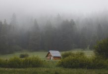 forest house with solar panels