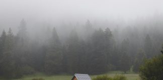 forest house with solar panels